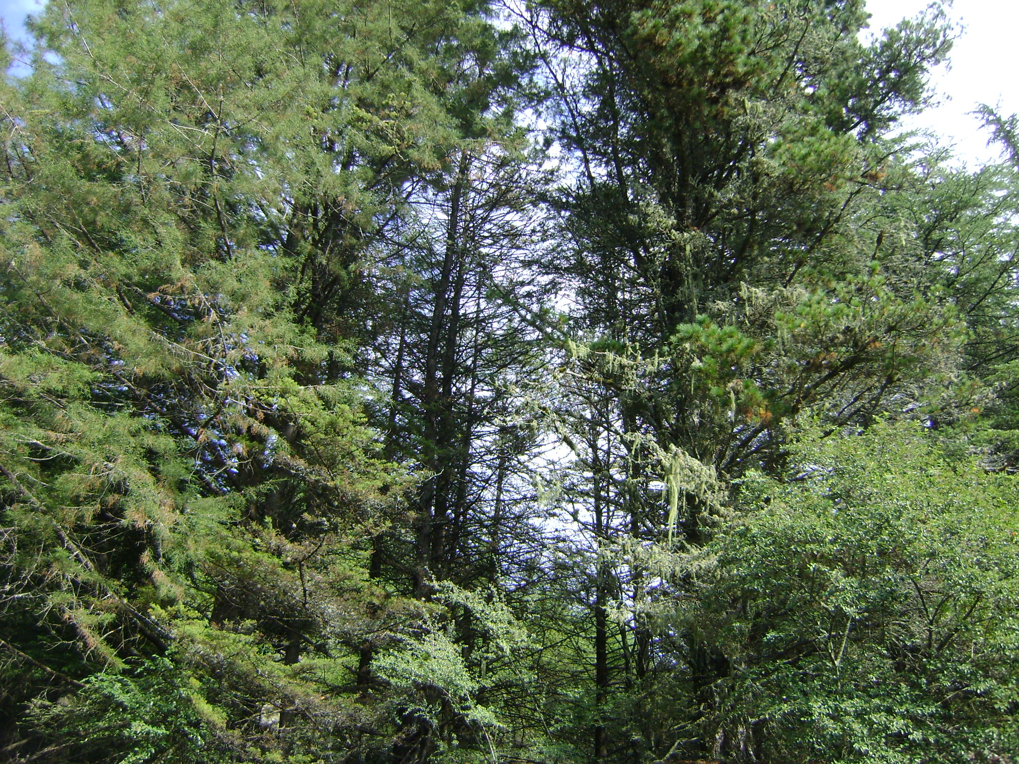 fotos/2011 - Los Reartes/DSC03385.JPG